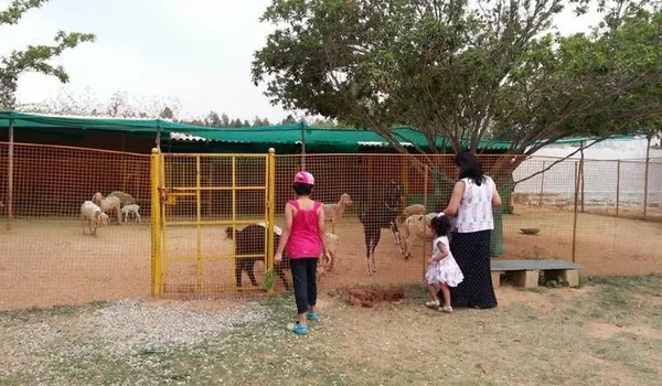 Featured Image of Mother Sanctuary